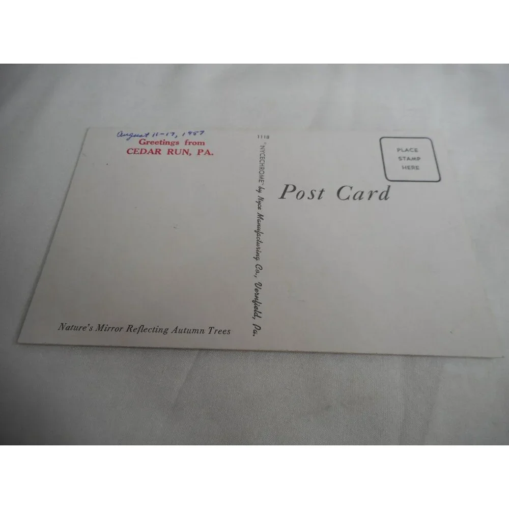 Vintage Postcard unposted Cedar Run Pennsylvania Lake fall nature 1950s